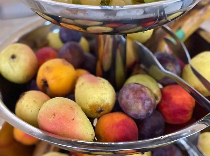 Hotel Plamena Palace