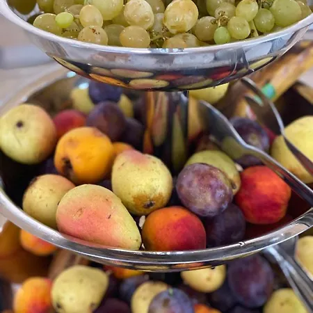 فندق Plamena Palace