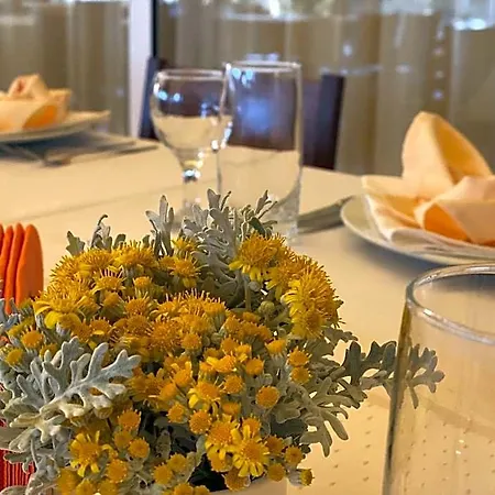 Hotel Plamena Palace 4*