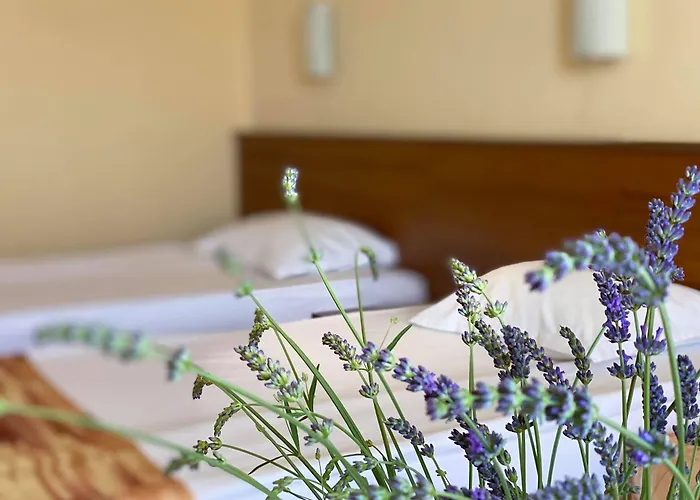 Ξενοδοχείο Plamena Palace