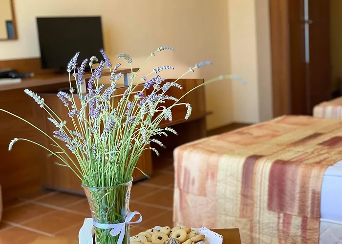 Plamena Palace Πριμόρσκο